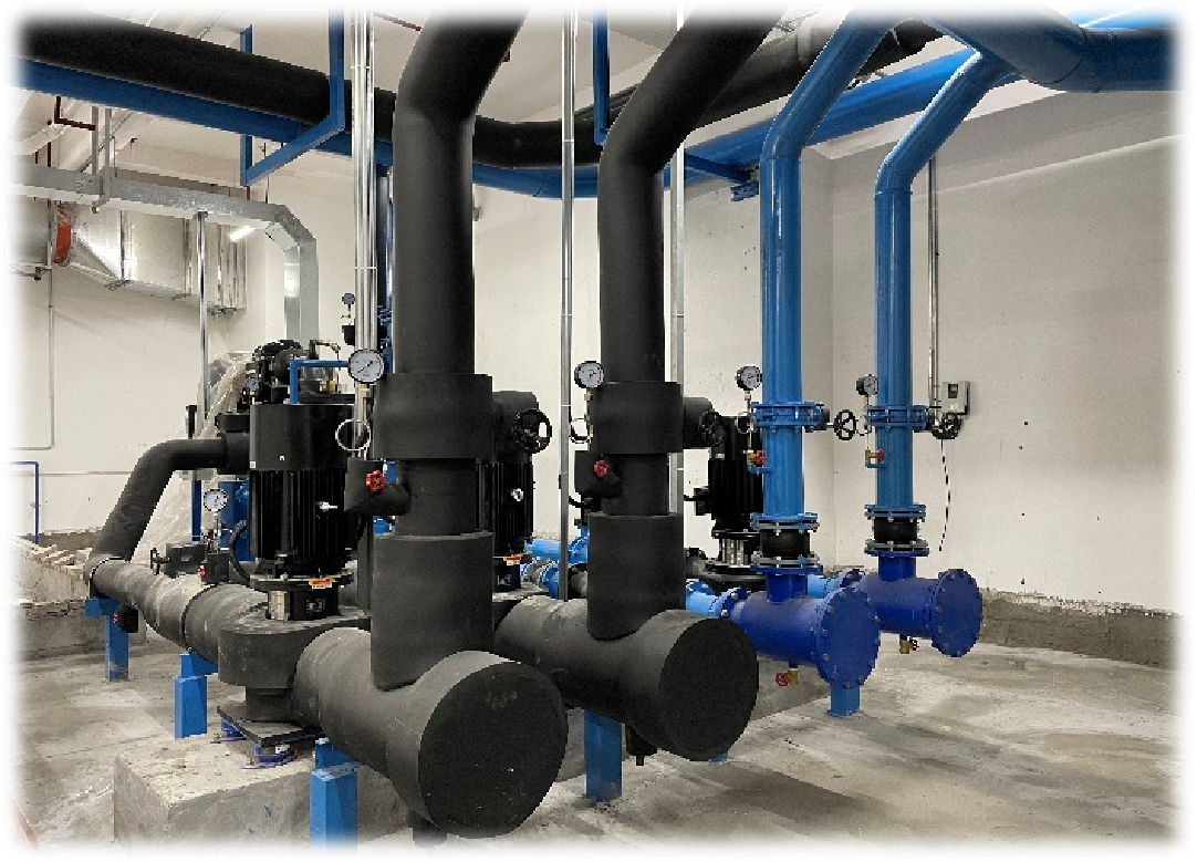 Sugere oral care products manufacturer 图片3 2