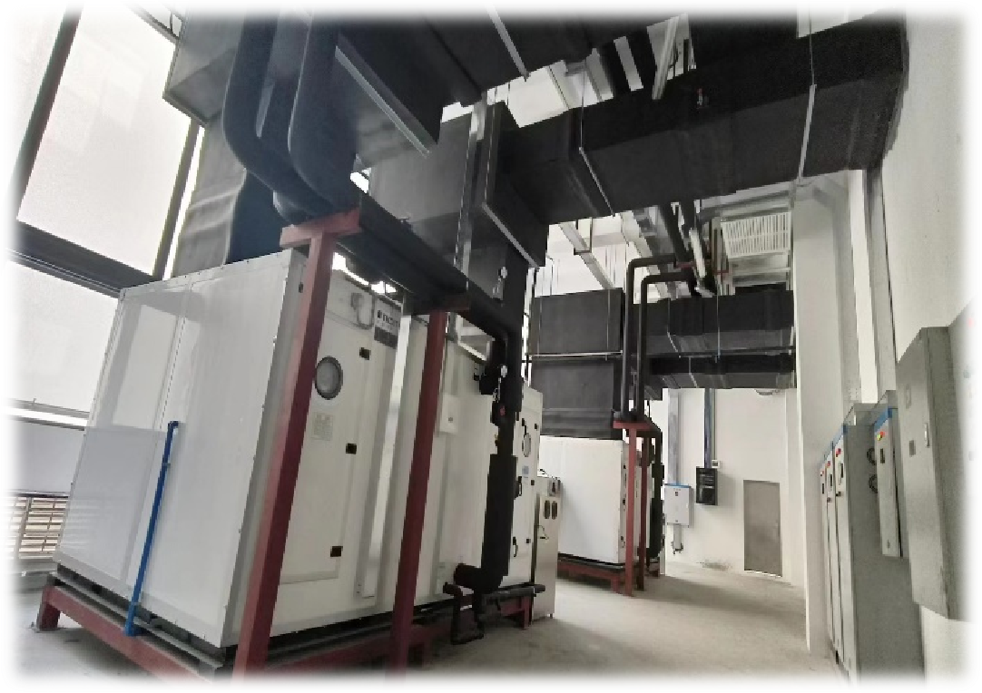 Sugere oral care products manufacturer 图片5 2